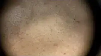 Video thumbnail for Very Dirty Carpets Product Review