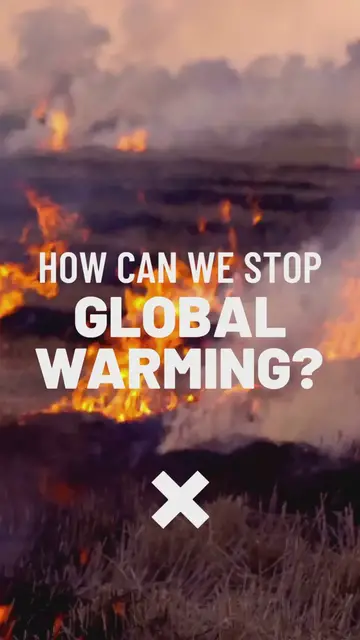 'Video thumbnail for Stop Global Warming'