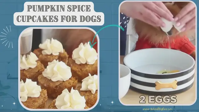Video thumbnail for Pumpkin Spice Cupcakes For Dogs