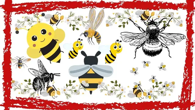 Video thumbnail for Bee Sound Effect | Bees Flying Around Sounds | Bees Buzzing | Bee Sounds for Relaxing