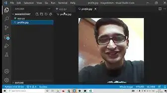 Video thumbnail for Python 3 Script to Distort or Deform JPG,PNG Images and Save it as GIF Animation Using block-distort