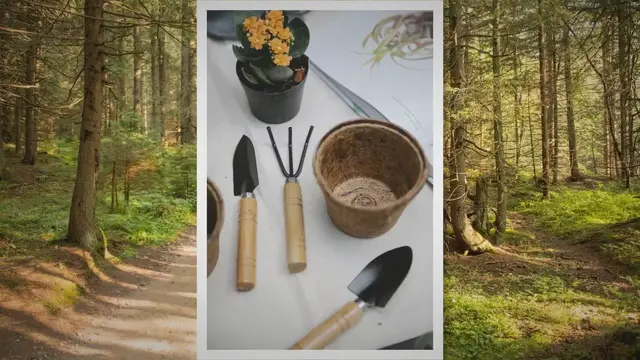 Video thumbnail for Here’s why coco peat is ideal for growing vegetables