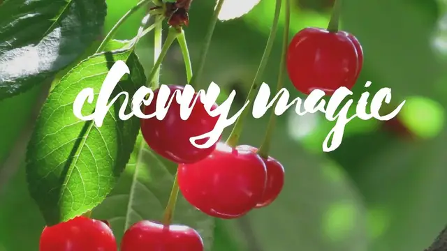 'Video thumbnail for The Immortality Fruit: The Magic of Cherries -- Magical Herbs'