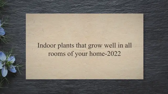 Video thumbnail for Indoor plants that grow well in all rooms of your home-2022 - Best Style Gallery, USA