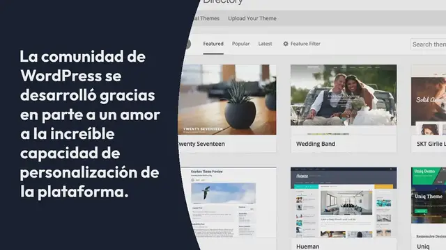Video thumbnail for Temas de WordPress Gratis vs de Pago: ¿Cuál Es la Mejor Opción para Su Próximo Proyecto?
