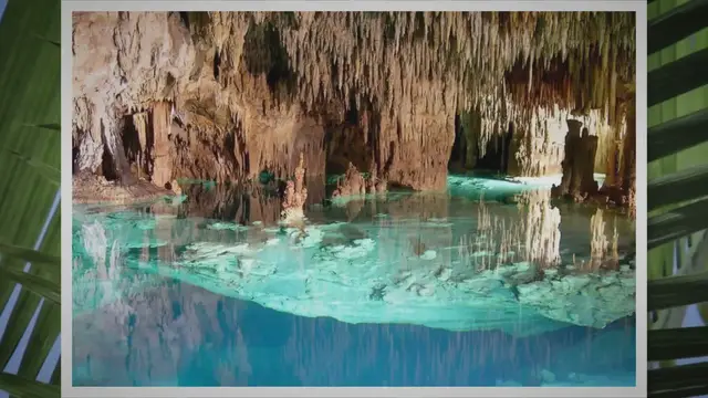 Video thumbnail for Discover the Best Cenotes Near Puerto Aventuras