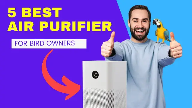'Video thumbnail for 5 Best Air Purifiers For Bird Owners (2023 Review)'