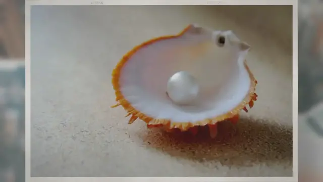 Video thumbnail for Why Are South Sea Pearls So Expensive?