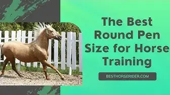 Video thumbnail for The Best Round Pen Size for Horse Training