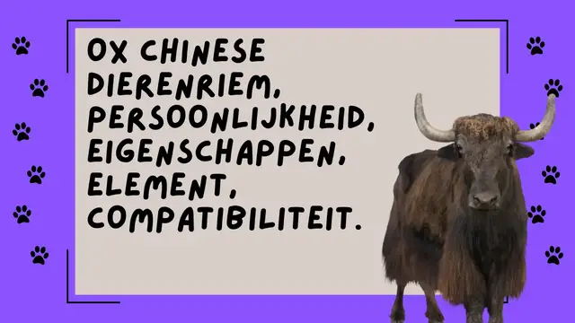 Video thumbnail for Ox chinese dierenriem, persoonlijkheid, eigenschappen, element, compatibiliteit.