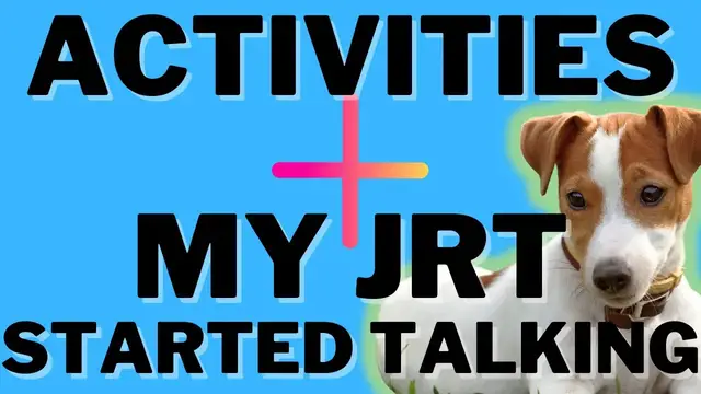 Video thumbnail for Activities For Jack Russell Terriers (+ Luna Found Her Voice And Wants To Chat Today)!