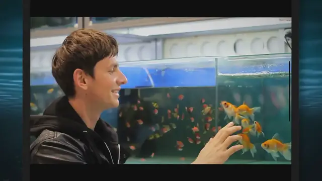 Video thumbnail for Top Aquarium Materials: A Comparison from a Hobbyist