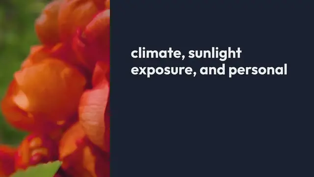 Video thumbnail for Best Flowers for Hanging Baskets on Patios