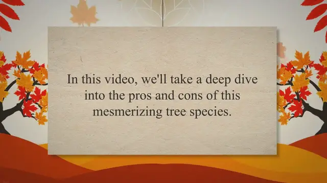 Video thumbnail for Firefall Maple: Weighing the Benefits and Drawbacks for Your Home Design