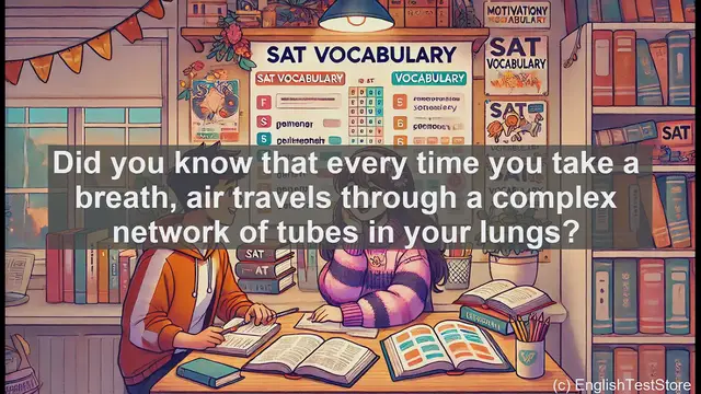 Video thumbnail for 5000 Must Know SAT Vocabulary - Bronchus: Key Airway in Your Lungs Explained