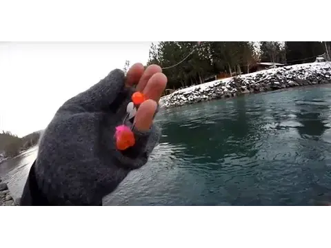 Video thumbnail for Early Winter Steelhead Scouting - Chilliwack River