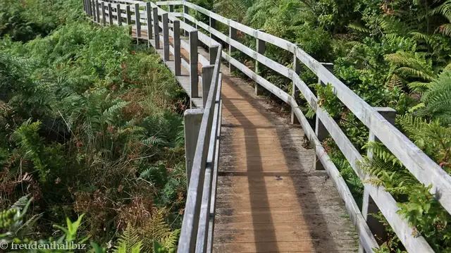 Video thumbnail for Furnas do Enxofre auf Terceira | Azoren