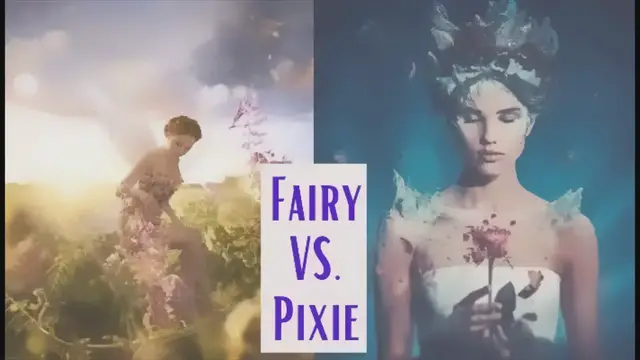 'Video thumbnail for Fairy vs. Pixie (What Is The Difference?)'
