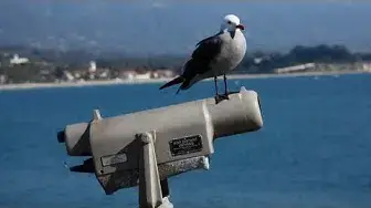 Video thumbnail for Santa Barbara mit Pier und Missionskirche | Kalifornien