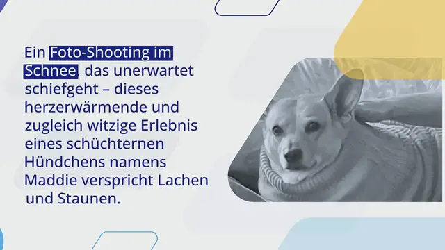 Video thumbnail for Frau fotografiert Hündin im Schnee: Als sie die Fotos anschaut, kann sie kaum glauben, was sie sieht