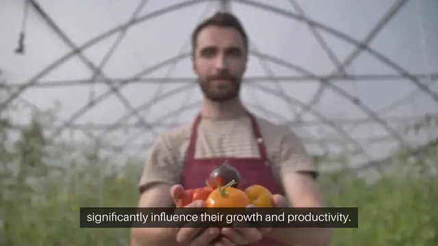 Video thumbnail for Sunlight And Plant Placement