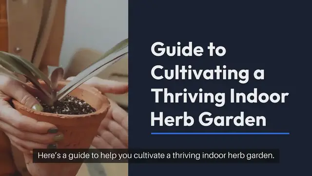 Video thumbnail for How to Grow Herbs Indoors Year-Round
