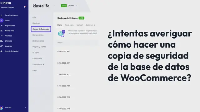 Video thumbnail for ¿Cómo hacer una copia de seguridad de la base de datos de WooCommerce para asegurar los datos de tu tienda?