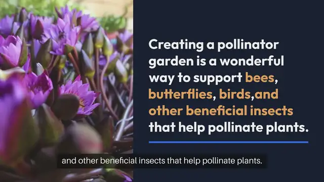 Video thumbnail for Best Outdoor Plants for Pollinator Gardens