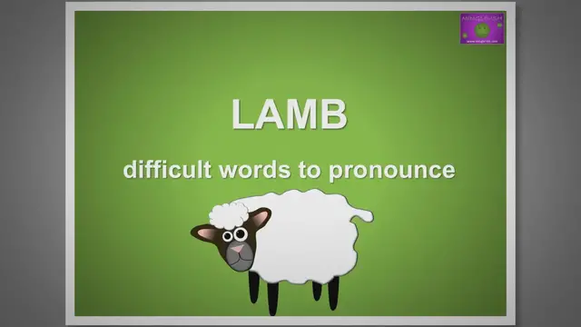 Video thumbnail for Lamb - Difficult words to pronounce