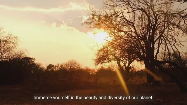 Video thumbnail for Discovering Nature: An Exploration and Adventure