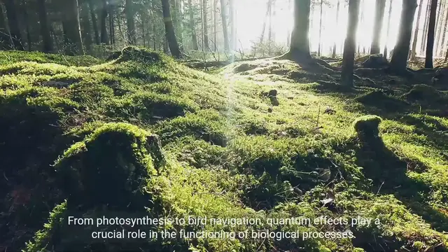 Video thumbnail for Unveiling Quantum Biology - Exploring Quantum Phenomenon