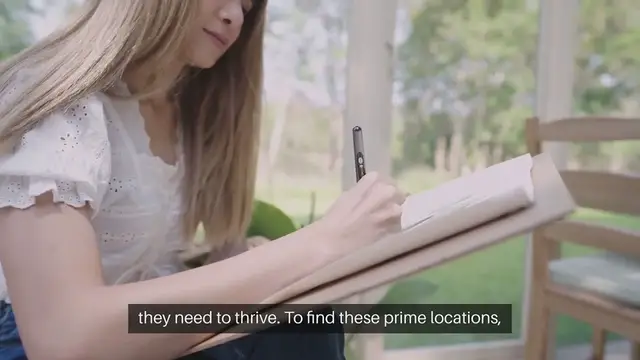 Video thumbnail for Identify Sunniest Garden Spots