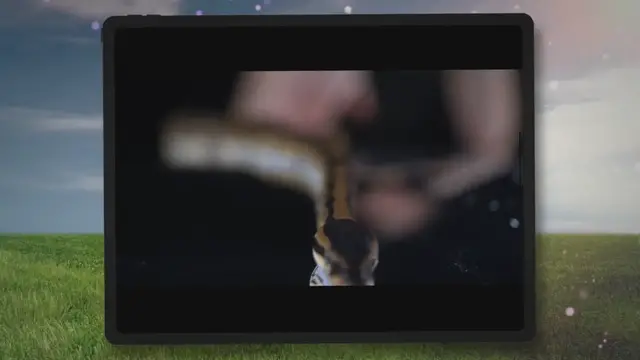 Video thumbnail for Snake Repellent DIY Ideas