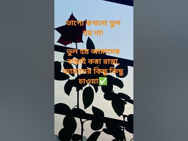 Video thumbnail for ভাগ্যে কখনো ভুল হয় না!ভুল হয় আমাদের বাছাই করা রাস্তা, আমাদের কিছু কিছু চাওয়া #everyone #reels