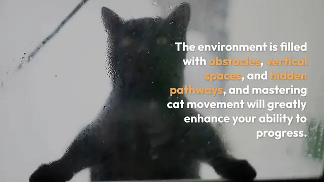 Video thumbnail for Stray Cat Navigation Techniques