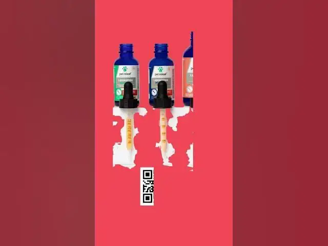 Video thumbnail for This Link can Help Your PET