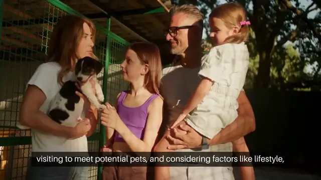 'Video thumbnail for Adopting a Pet The Journey Begins'
