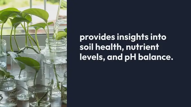 Video thumbnail for Lawn soil testing tips