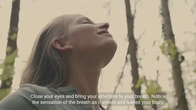 Video thumbnail for Mindful Breathing and Meditation Techniques