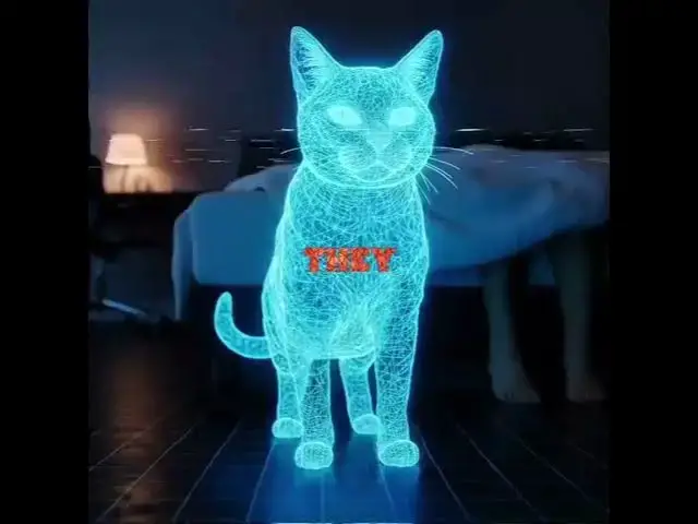 Video thumbnail for Ever wonder why your cat chooses your feet over your pillow every single night?