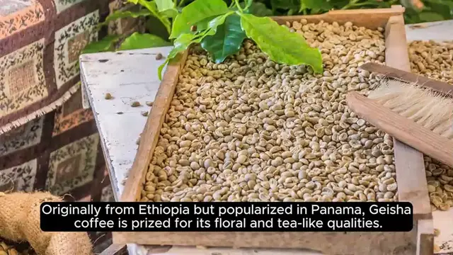 Video thumbnail for Top 10 Unique Coffee Varieties