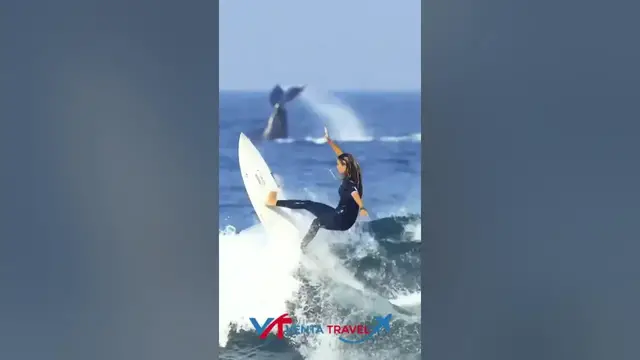 'Video thumbnail for Surfing among sharks: the most dangerous adventure!'