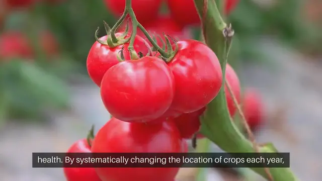 Video thumbnail for Pest Management Through Rotation