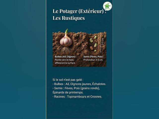 Video thumbnail for Tout faire au JARDIN en FÉVRIER : Le Guide Complet ! 🌿 #Jardin #Potager #Fevrier