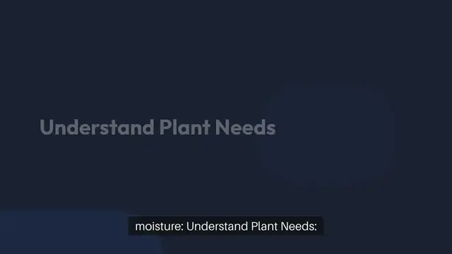 Video thumbnail for How to Water Indoor Plants Properly