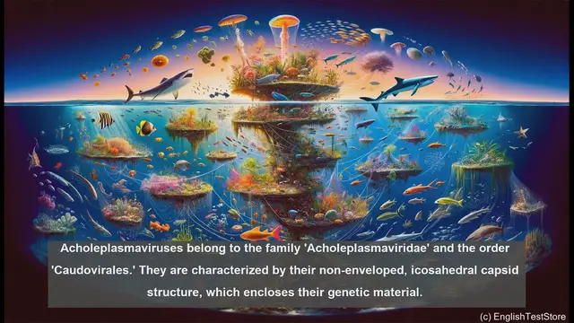 Video thumbnail for Acholeplasmaviruses in biology