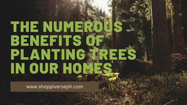 'Video thumbnail for The Numerous Benefits of Planting Trees in Our Homes'