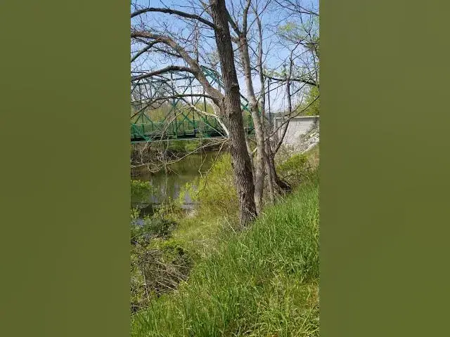 Video thumbnail for November 22, 2021