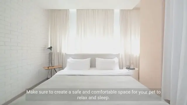 Video thumbnail for Essential Tips for Living with a Pet