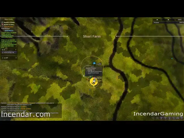 Video thumbnail for Special Nodes for Cooking Alchemy Trading Life Alchemy Stone BDO Black Desert Online